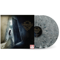 EVANESCENCE-THE OPEN DOOR VINYL GREY MARBLED  .888072238046