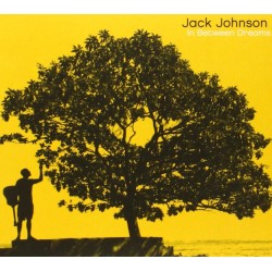 JACK JOHNSON-IN BETWEEN DREAMS CD