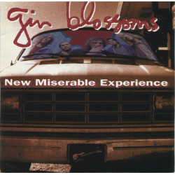 GIN BLOSSOMS-NEW MISERABLE EXPERIENCE CD