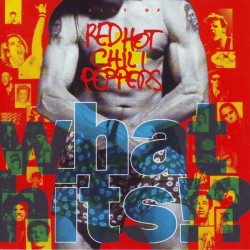 RED HOT CHILI PEPPERS-WHAT HITS CD 077779476220