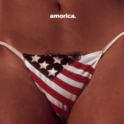 THE BLACK CROWES–AMORICA CD. 093624300021
