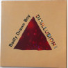 BADLY DRAWN BOY–DISILLUSION CD. 634904100520