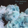 POP AMBIENT 2018-POP AMBIENT 201 CD 880319829727