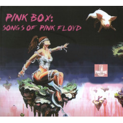 PINK BOX - SONGS OF PINK FLOYD 2 CD'S 7509848285387