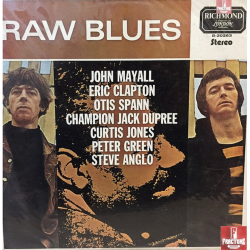RAW BLUES - RAW BLUES VINYL B-20263