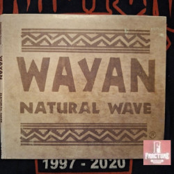 WAYAN NATURAL WAVE 1 CD BLE 023