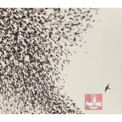 WILCO – SKY BLUE SKY 1 CD 7559-79987-9A