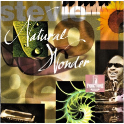 STEVIE WONDER – NATURAL WONDER - LIVE IN CONCERT 1CD 731453054622