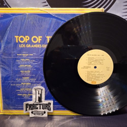 TOP OF THE POPS LOS GRANDES EXITOS DE 1970-1979 VINYL