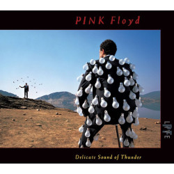 PINK FLOYD-DELICATE SOUND OF THUNDER CD