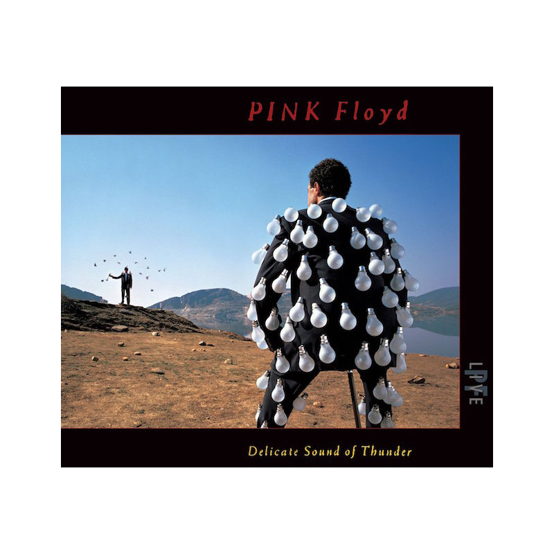 PINK FLOYD-DELICATE SOUND OF THUNDER CD