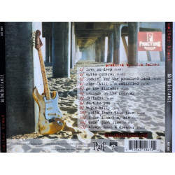 WALTER TROUT AND THE RADICALS – GO THE DISTANCE CD