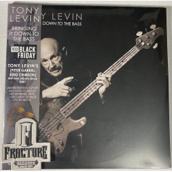 TONY LEVIN - BRINGING IT DOWN TO THE BASS VINYL RSD BLACK FRIDAY 2024 0810137040882