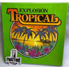 EXPLOSION TROPICAL VINYL-BOX RDMS 21-1 88/179-1