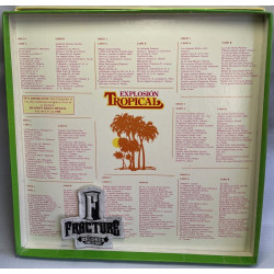 EXPLOSION TROPICAL VINYL-BOX