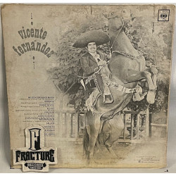 VICENTE FERNÁNDEZ – VICENTE FERNÁNDEZ VINYL