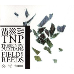 THESE NEW PURITANS-FIELD OF REEDS CD