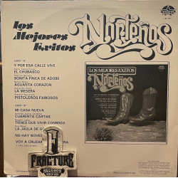 LOS MEJORES EXITOS  - NORTEÑOS VINYL