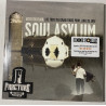 SOUL ASYLUM - AFTER THE FLOOD: LIVE FROM THE GRAND FORKS PROM, JUNE 28, 1997 VINYL RSD 2025 0198028439411