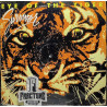 SURVIVOR – EYE OF THE TIGER VINYL 07464380621