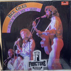 BEE GEES – 30 AÑOS DE MUSICA ROCK - SALVAT VINYL 822 309-1