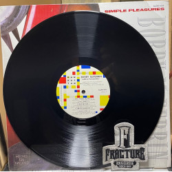 BOBBY MCFERRIN – SIMPLE PLEASURES VINYL