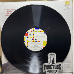 BOBBY MCFERRIN – SIMPLE PLEASURES VINYL