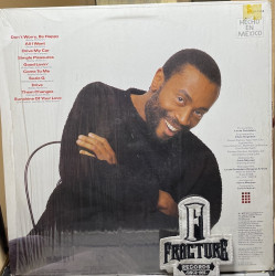 BOBBY MCFERRIN – SIMPLE PLEASURES VINYL