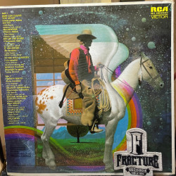 JOHN DENVER – I WANT TO LIVE VINYL