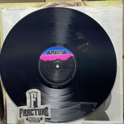 TAYLOR DAYNE – CAN'T FIGHT FATE VINYL