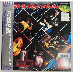 MSG – ONE NIGHT AT BUDOKAN VINYL JAPONES WWS-67159•60
