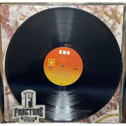 PEDRO FERNÁNDEZ – VICIO VINYL