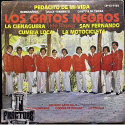 LOS GATOS NEGROS (DE TIBERIO) – LOS GATOS NEGROS VINYL LP-12-1155