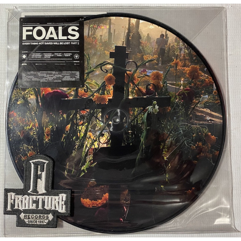 FOALS ‎– EVERYTHING NOT SAVED WILL BE LOST PART 2 VINYL PICTURE DISC