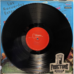 LOS RECUERDOS ESTÁN HECHOS DE ESTO: EXITOS DE LOS 60'S VINYL