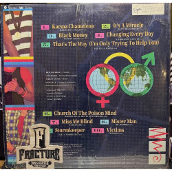 CULTURE CLUB – COLOUR BY NUMBERS - PINTANDO POR NÚMEROS VINYL