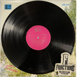 LOS RIVIERA`S  - A BAILAR SABROSO CON VINYL