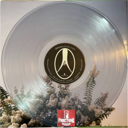 DEFTONES – PRIVATE MUSIC VINYL CLEAR 093624832355