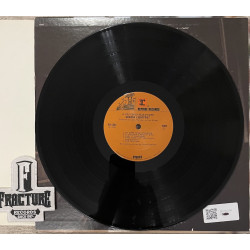 GORDON LIGHTFOOT – SIT DOWN YOUNG STRANGER VINYL