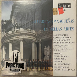 GUITARRAS OAXAQUEÑAS EN BELLAS ARTES VINYL D-85