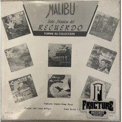 CONJUNTO JAROCHO "LINDO VERACRUZ" DE MACARIO CRUZ – UN CANTO A ALVARADO VINYL