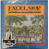 EXCELSIOR - VARIOS VINYL 989001