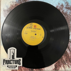 JIMI HENDRIX – THE CRY OF LOVE VINYL