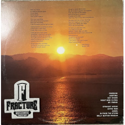 JIMI HENDRIX – THE CRY OF LOVE VINYL