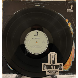 JIMI HENDRIX – IN THE BEGINNING VINYL