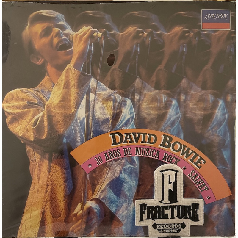 DAVID BOWIE – 30 AÑOS DE MUSICA ROCK VINYL 822 299-1