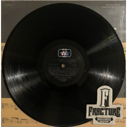 LAS GRANDES BANDAS -16 FAVORITAS CON EL RITMO Y SONIDO DE UNA ÉPOCA INOLVIDABLE VINYL