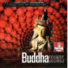 BUDDHA SOUNDS - A PERSONAL VOYAGE INTO DOWNTEMPO LANDS CD 610535807823