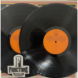 LA ÉPOCA DE ORO DE LA RADIO, EL CINE Y EL TEATRO LOS INOLVIDABLES DE LA RADIO, LOS GRANDES ÉXITOS DE REVISTA VINYL