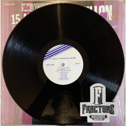 15 ARTISTAS DEL MILLON VINYL